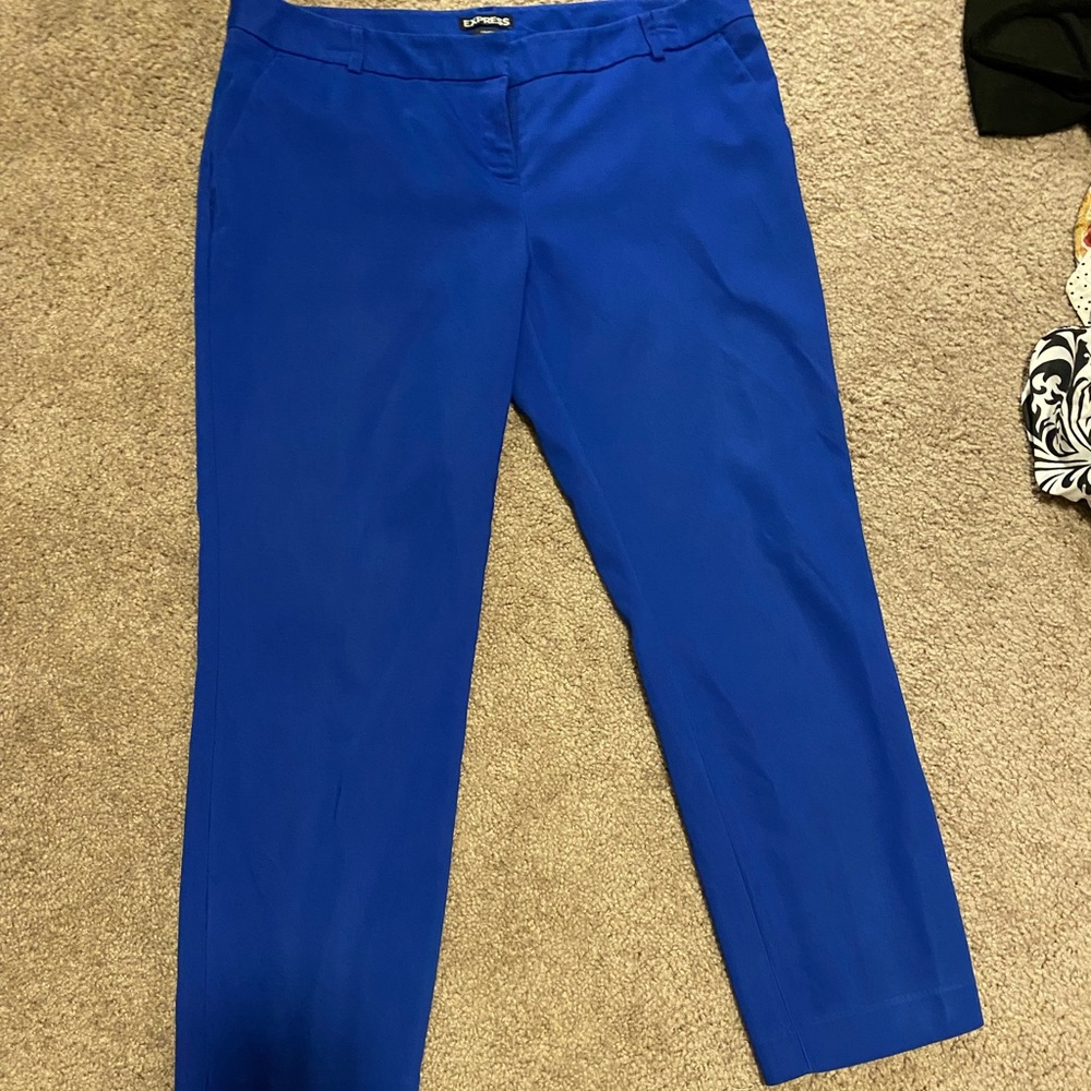 Express Columnist Dress Pants